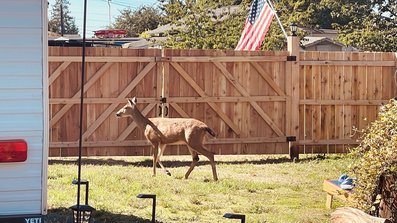 Photo of Outdoor in Port Angeles East