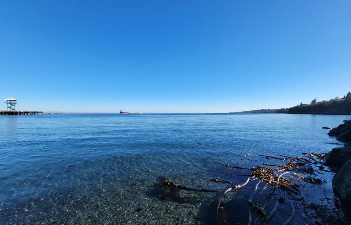 Photo of Others in Port Angeles East