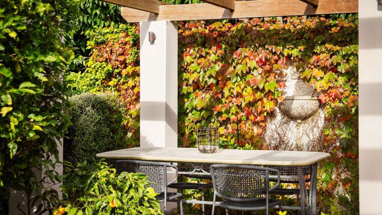 Photo of Outdoor in Parnell