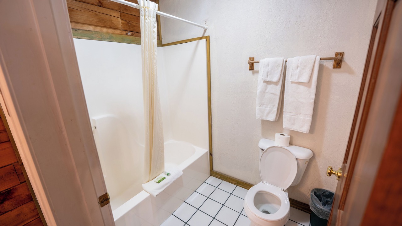 Photo of Bathroom in Buchanan