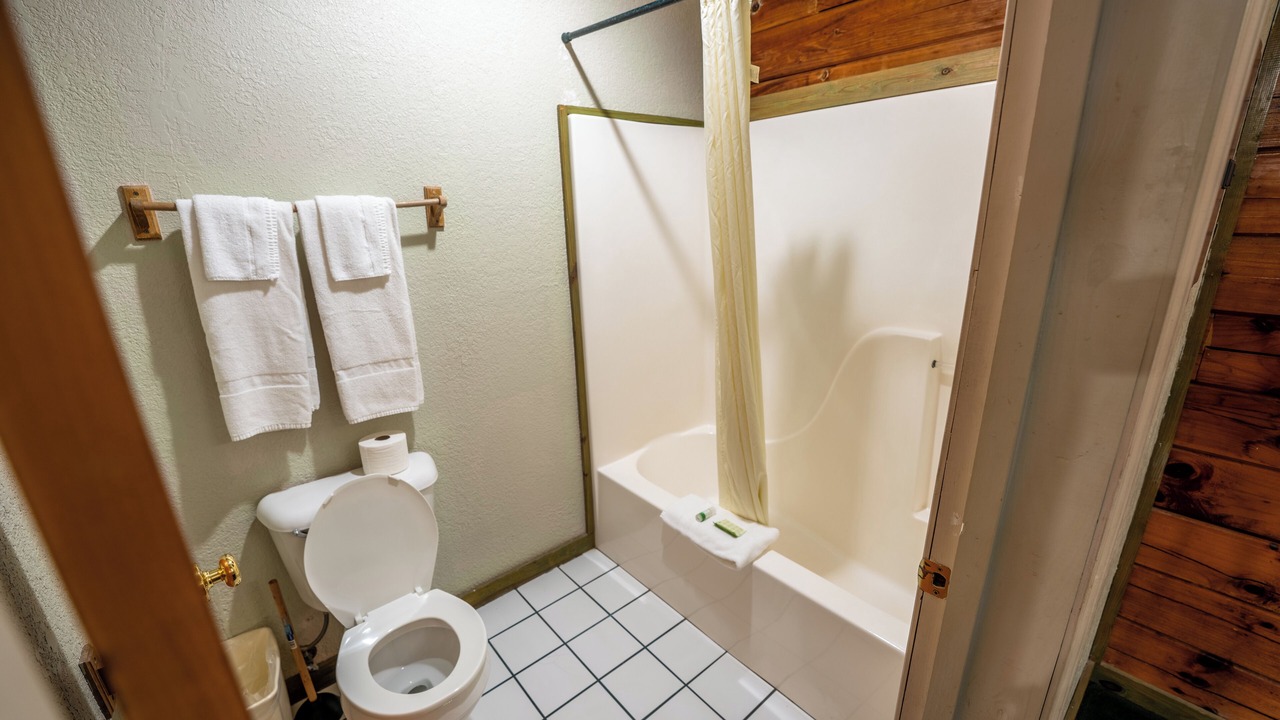 Photo of Bathroom in Buchanan