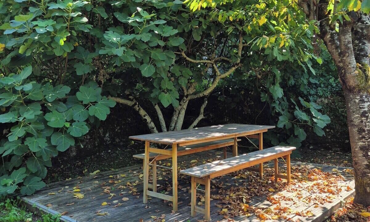 Photo of Outdoor in Vayrac