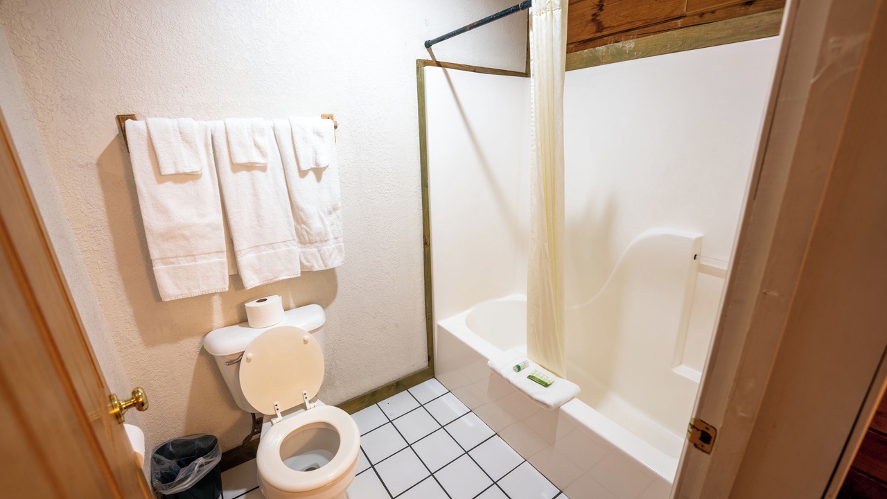 Photo of Bathroom in Buchanan