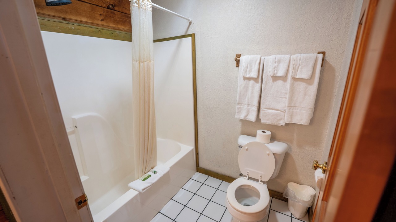 Photo of Bathroom in Buchanan