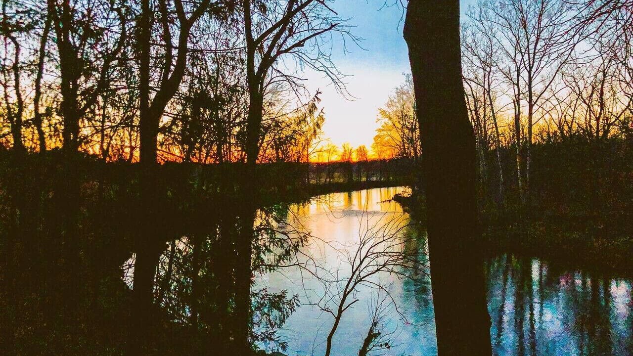 Photo of Others in Howard