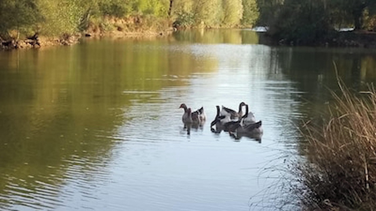 Photo of Outdoor in Coulanges