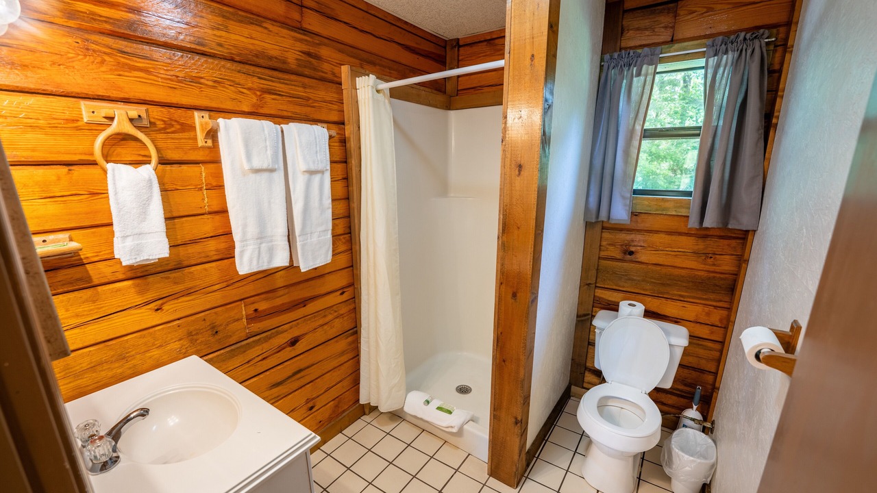 Photo of Bathroom in Buchanan