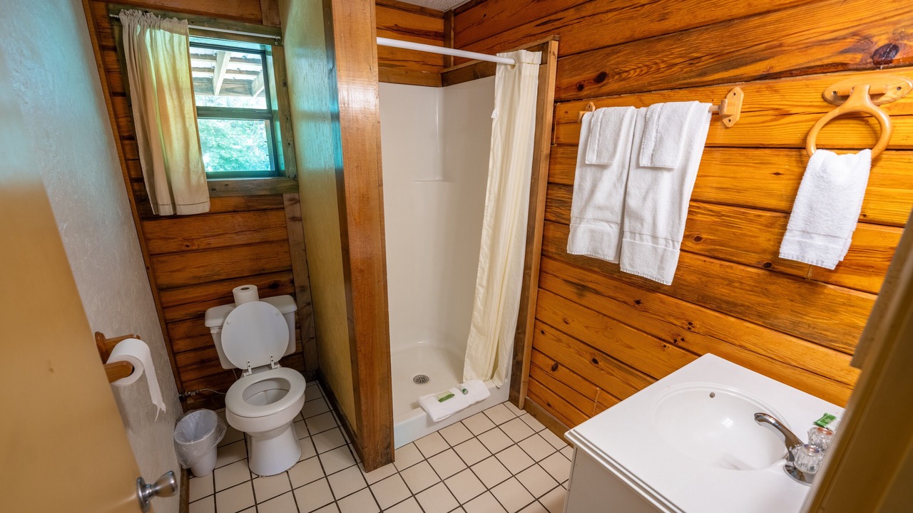 Photo of Bathroom in Buchanan