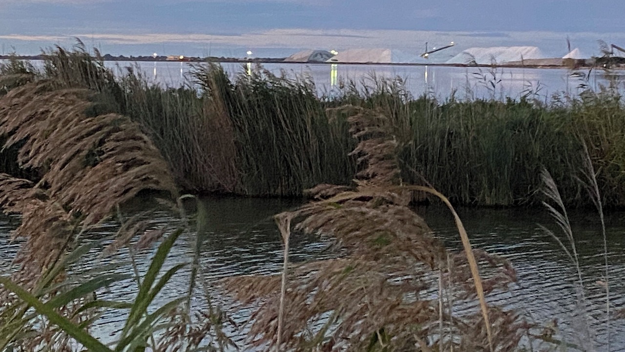 Photo of Others in Aigues-Mortes