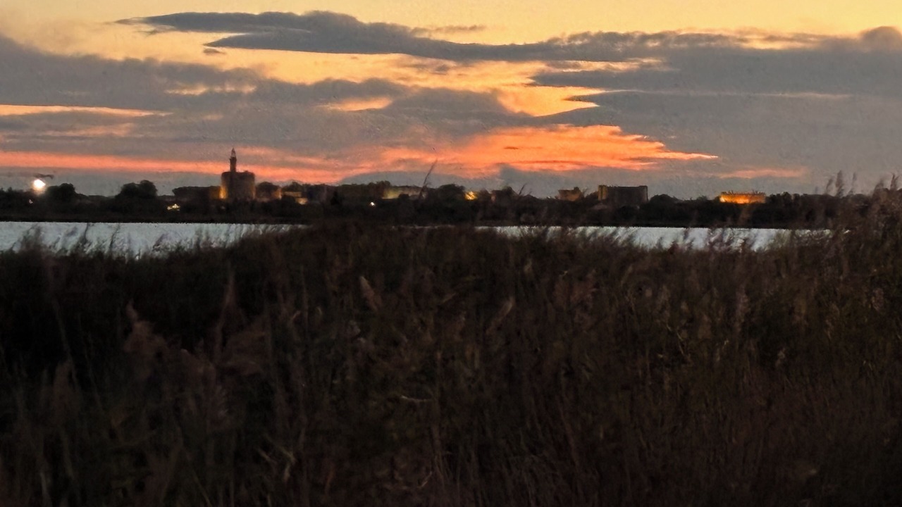 Photo of Others in Aigues-Mortes