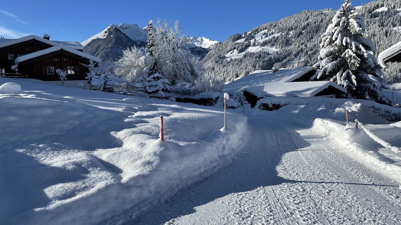Photo of Others in Zweisimmen Nr Gstaad
