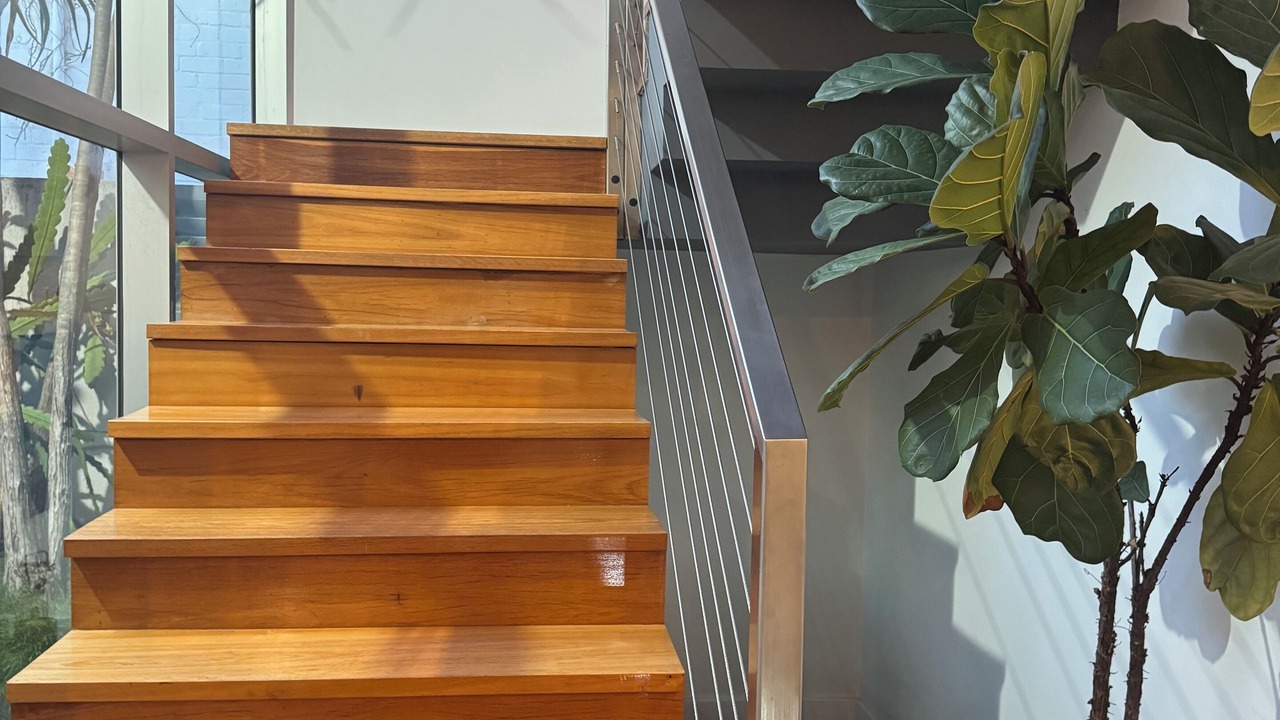 Photo of Others in Carss Park