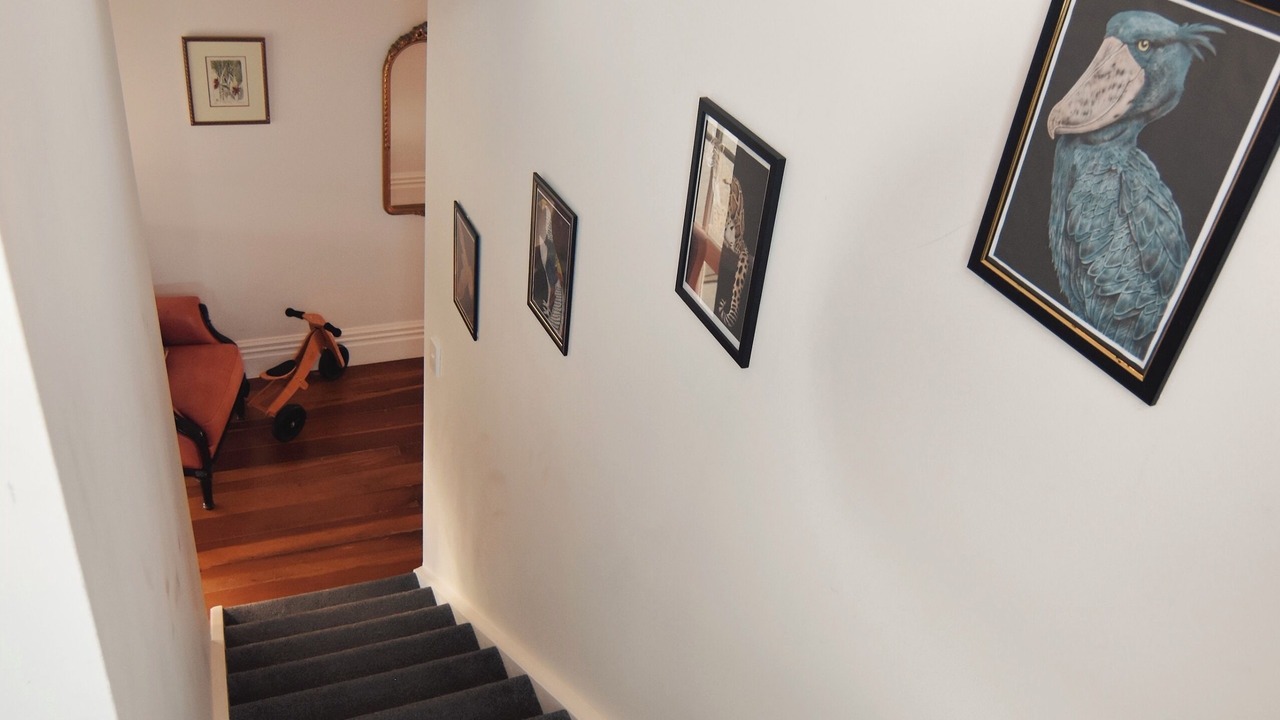 Photo of Others in Remuera