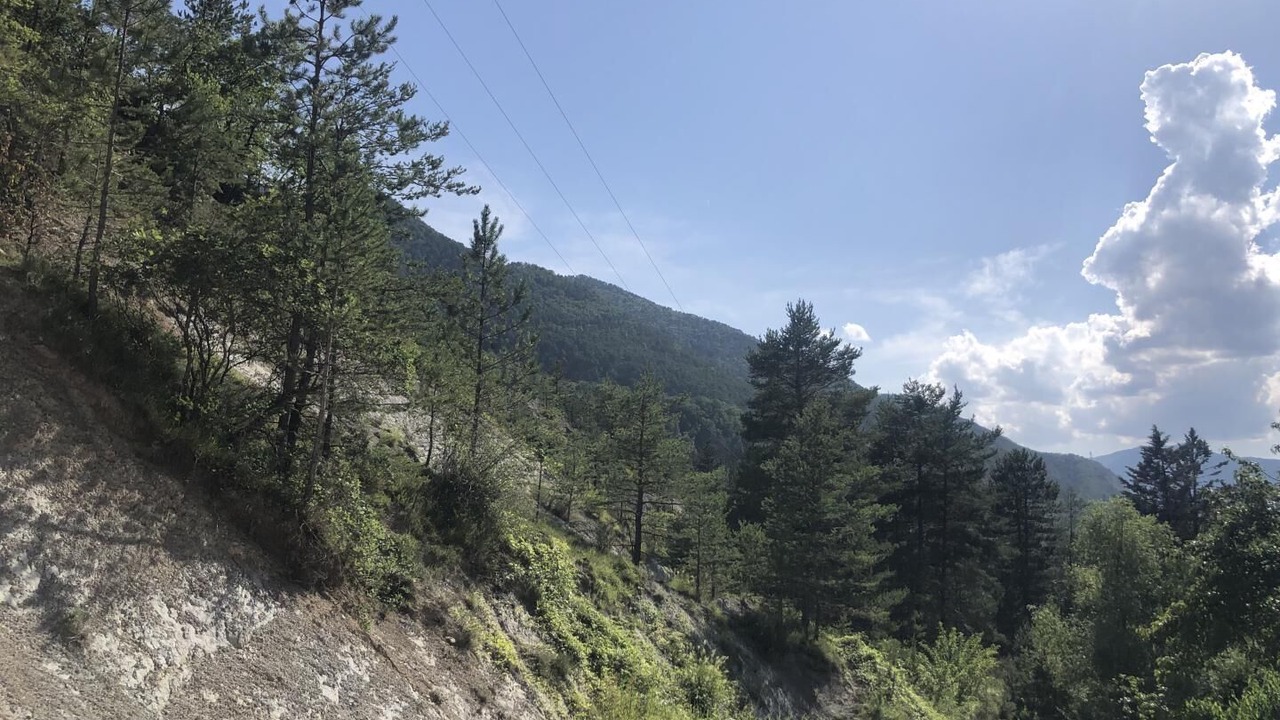 Photo of Others in Puget-Theniers