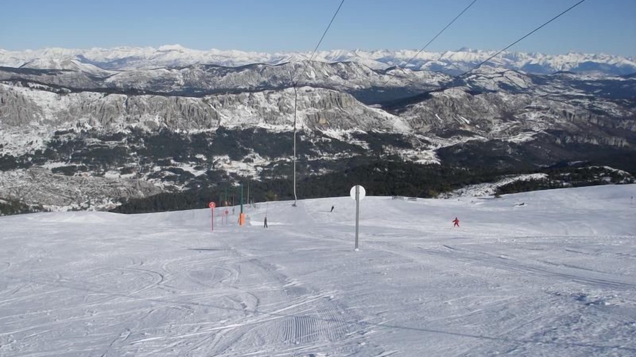 Photo of Others in Caille