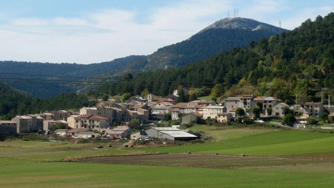 Photo of Others in Caille