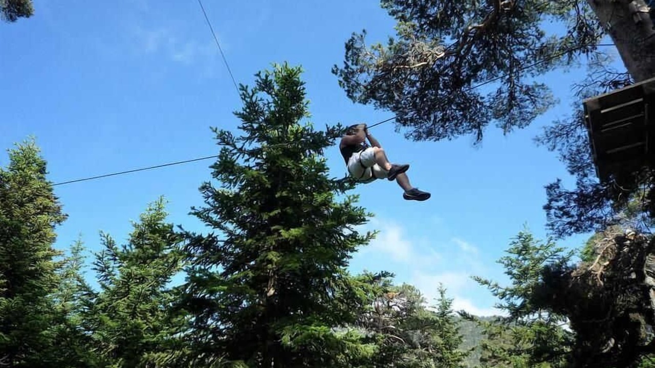 Photo of Others in Caille