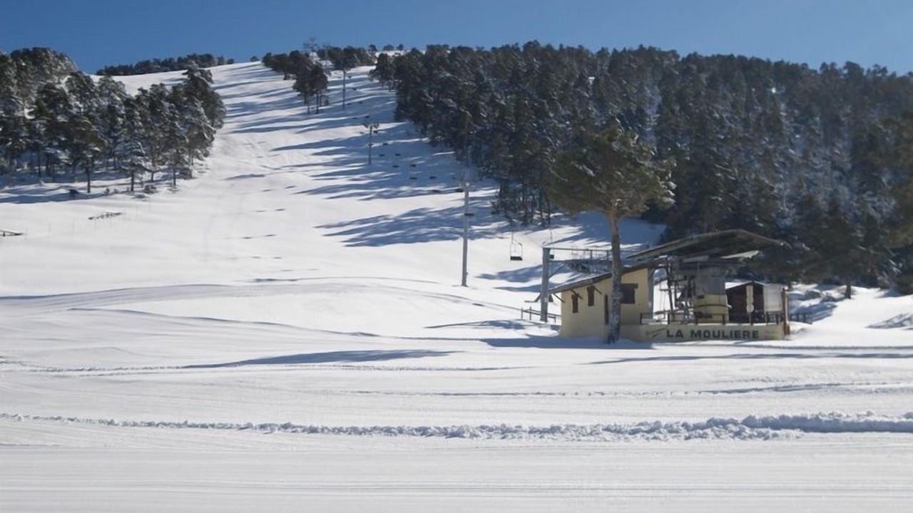 Photo of Others in Caille