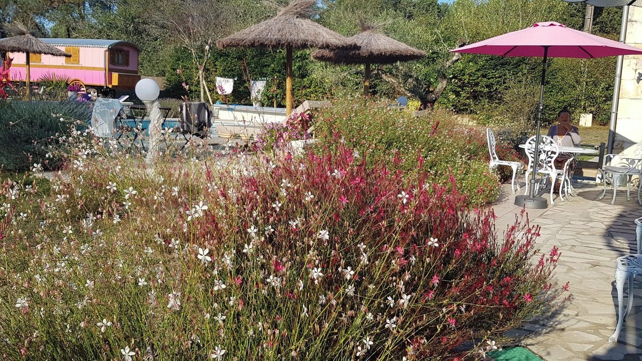 Photo of Outdoor in Bussac-Foret