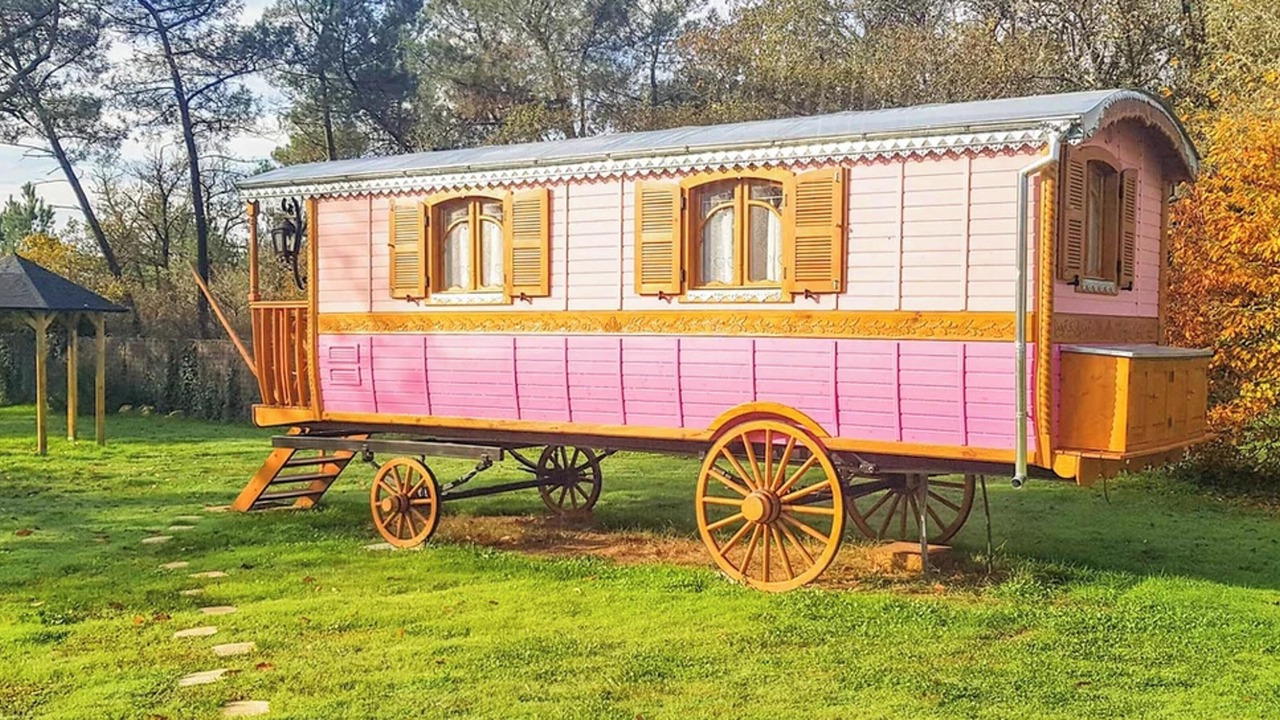 Photo of Others in Bussac-Foret