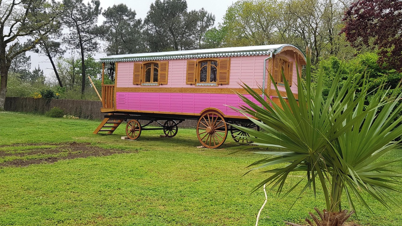 Photo of Others in Bussac-Foret