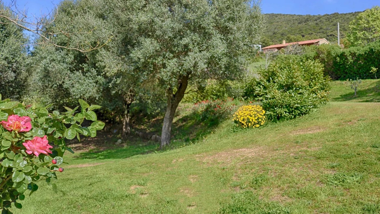 Photo of Outdoor in Coti-Chiavari