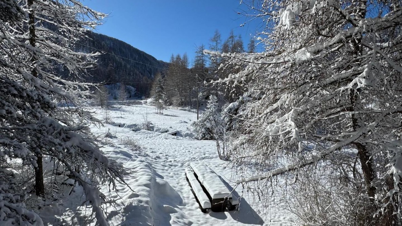 Photo of Others in Belvedere