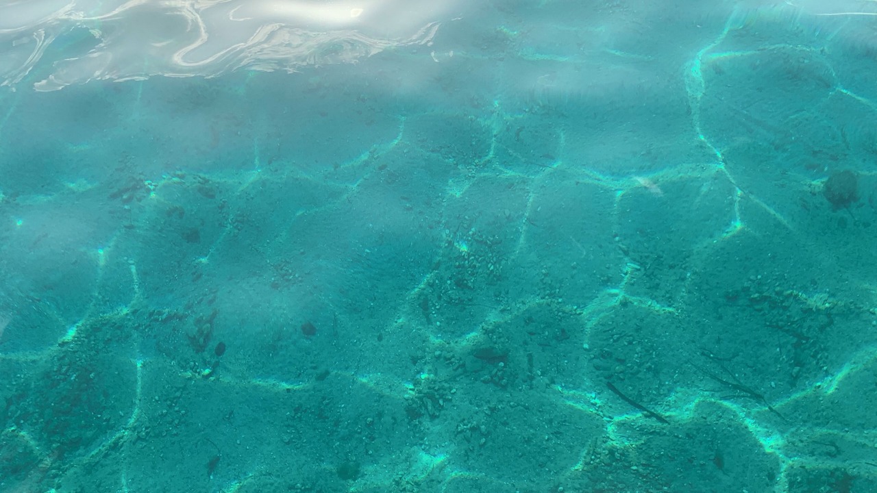 Photo of Others in Porquerolles