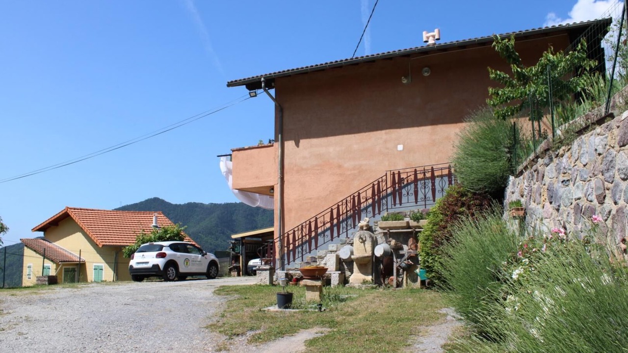 Photo of Outdoor in Belvedere