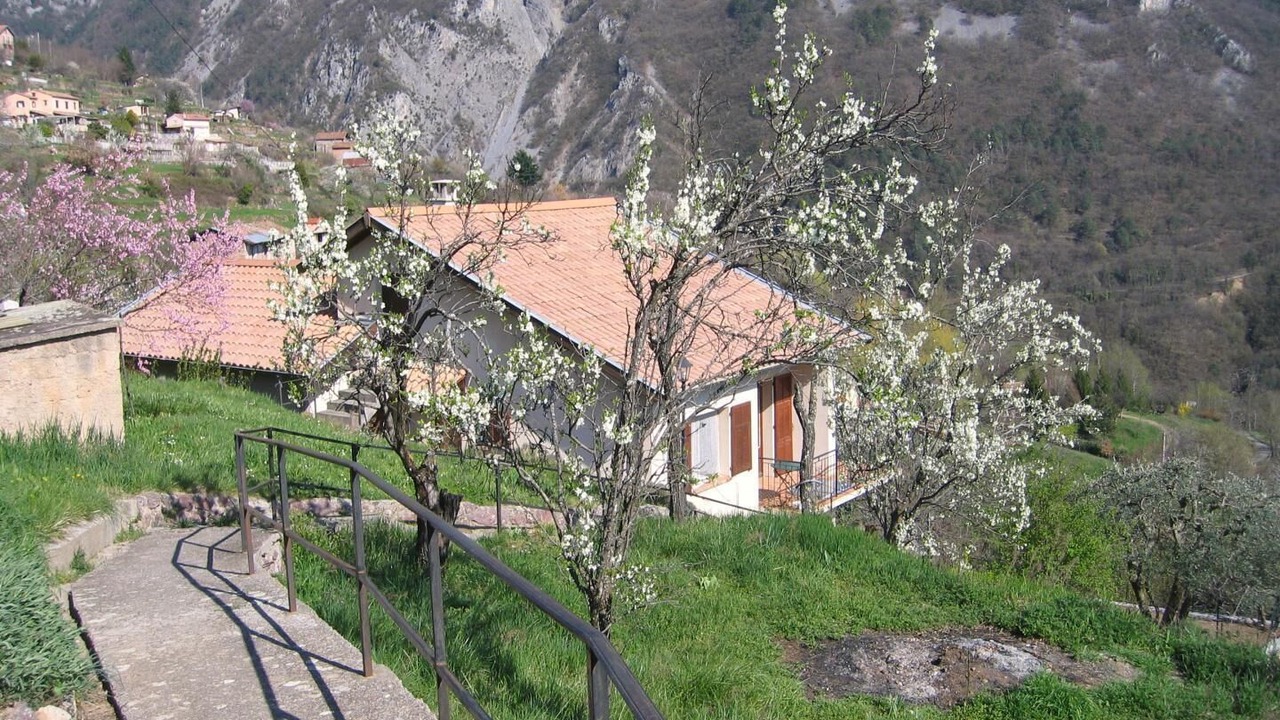 Photo of Outdoor in Belvedere
