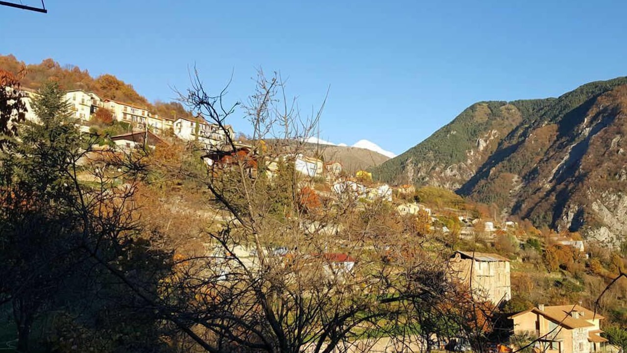 Photo of Others in Belvedere