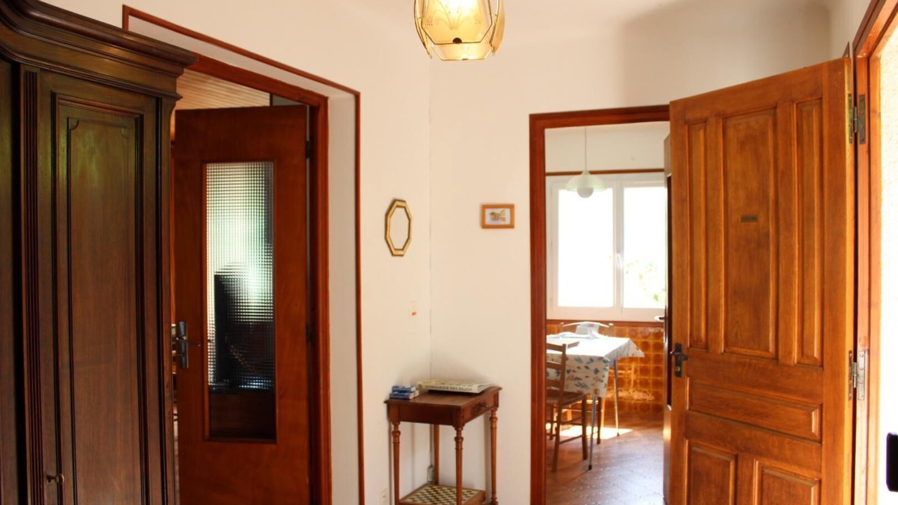 Photo of Others in Belvedere