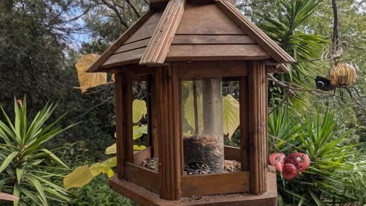 Photo of Others in Speracedes