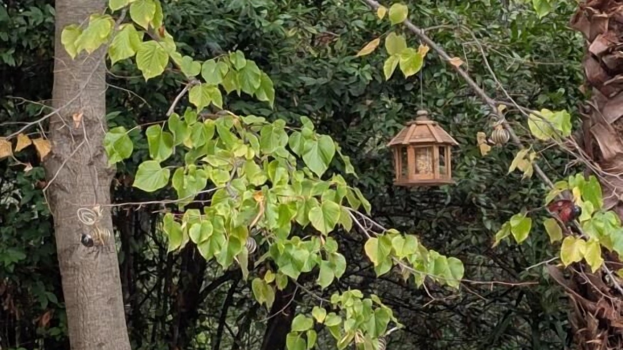 Photo of Outdoor in Speracedes