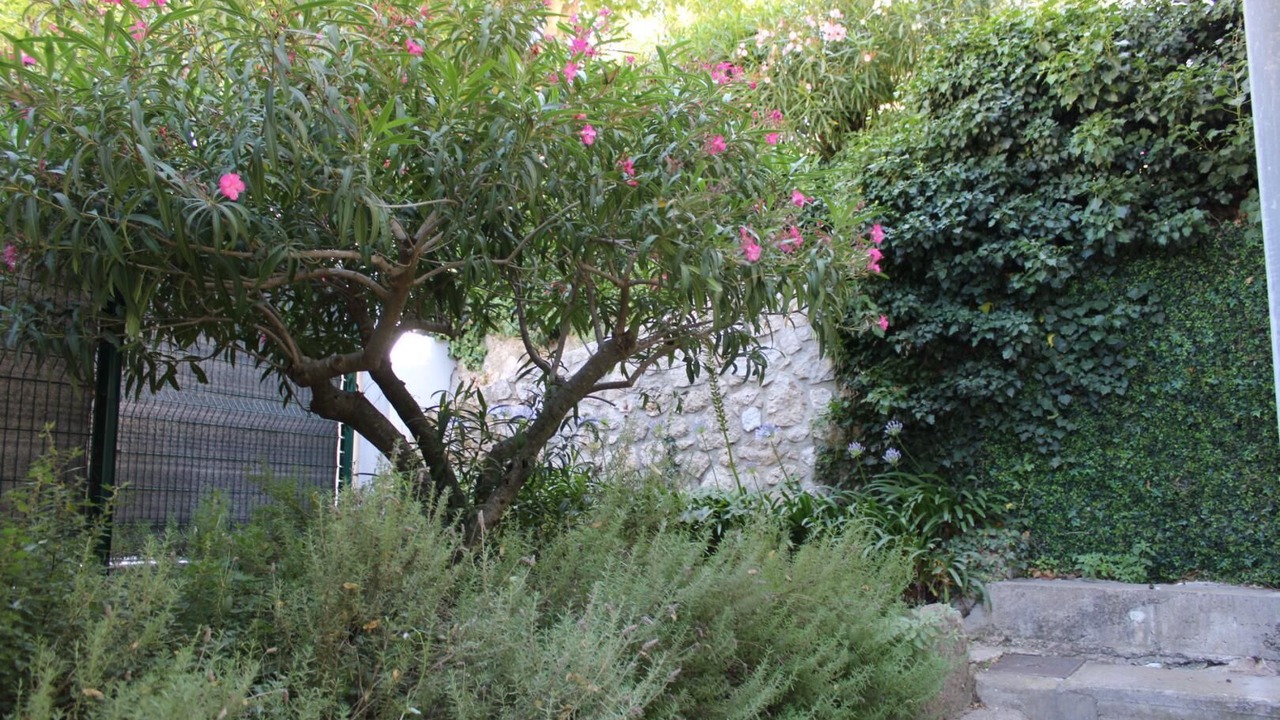 Photo of Outdoor in Carros