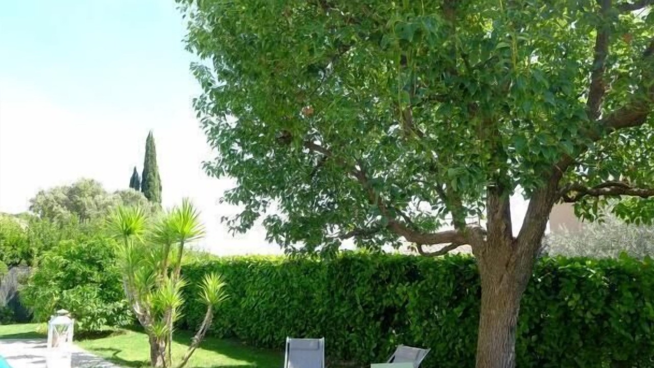 Photo of Outdoor in Saint-Jeannet