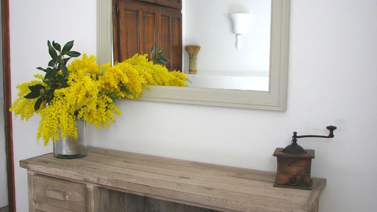 Photo of Others in Saint-Jeannet