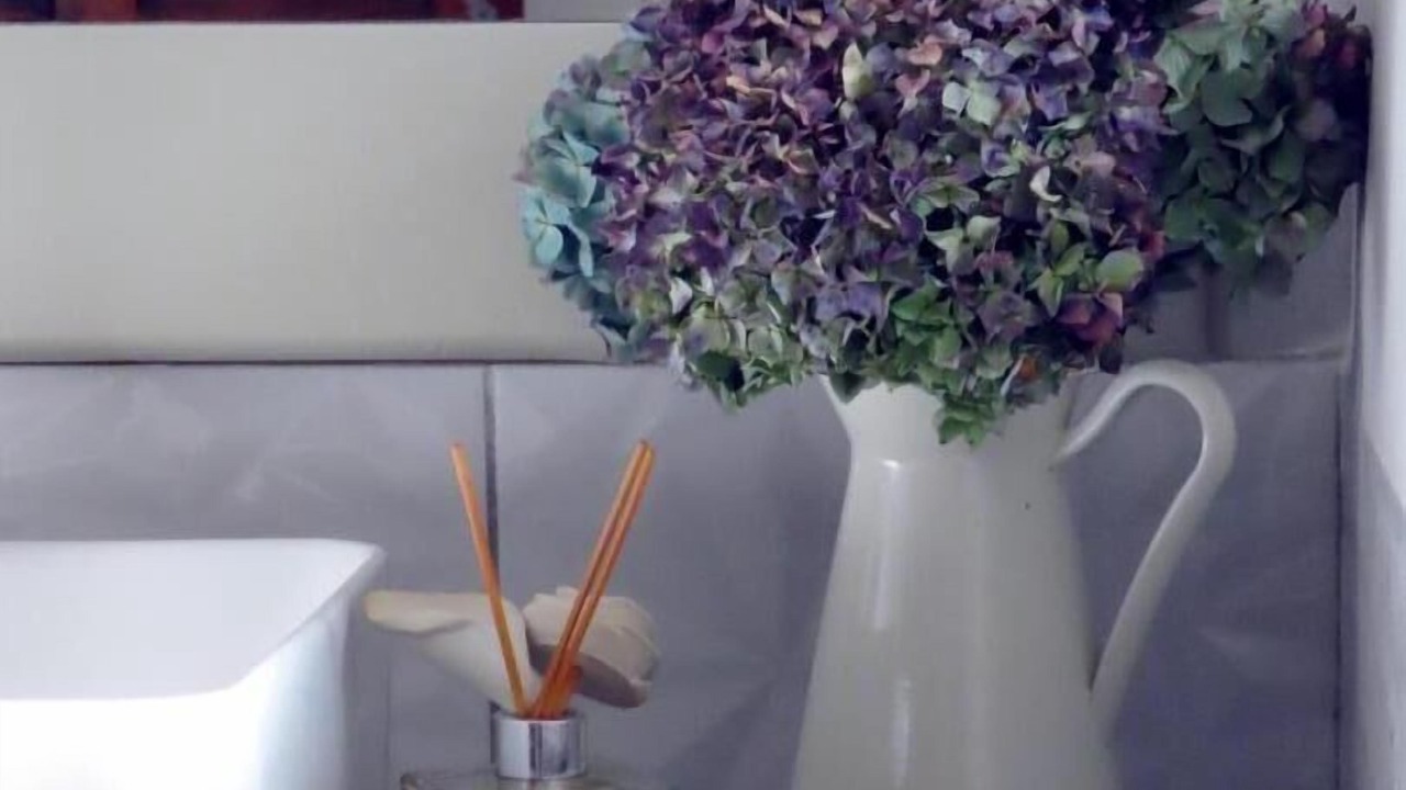 Photo of Others in Saint-Jeannet