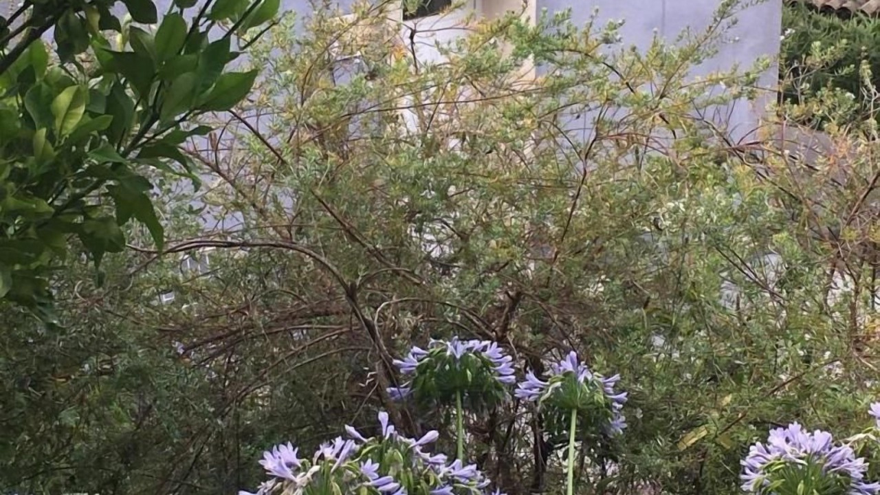 Photo of Outdoor in Biot