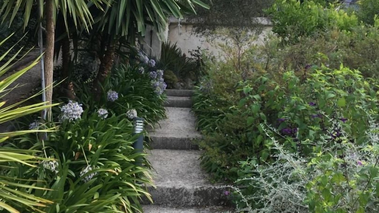 Photo of Outdoor in Biot