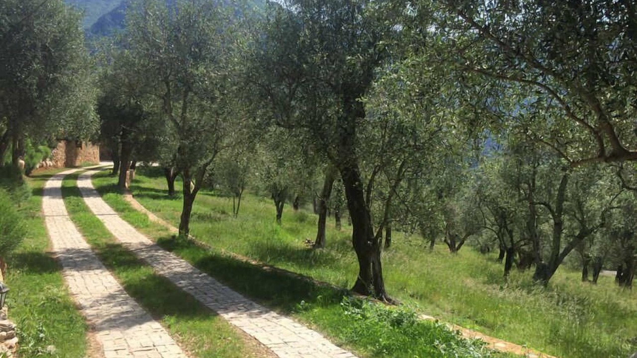 Photo of Others in Breil-sur-Roya