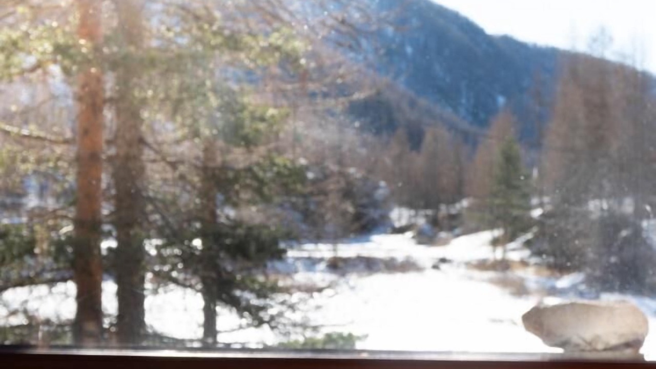 Photo of Others in Belvedere