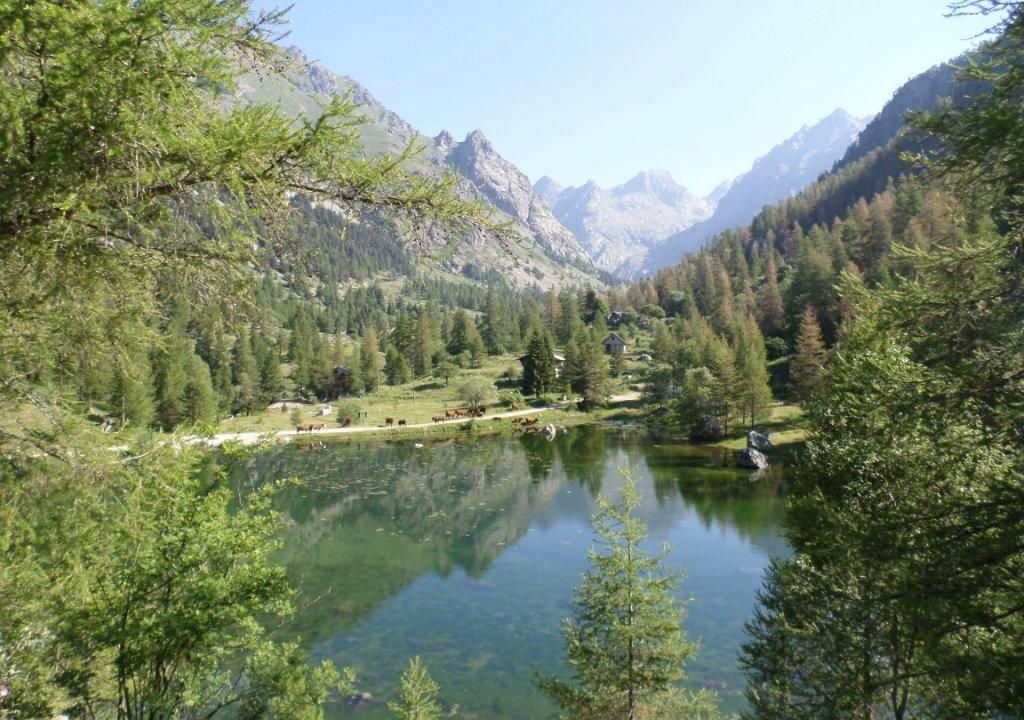 Photo of Others in Belvedere