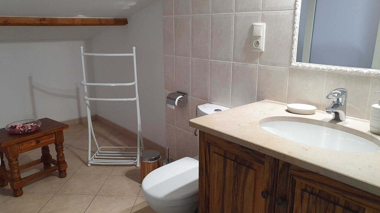 Photo of Bathroom in Blausasc