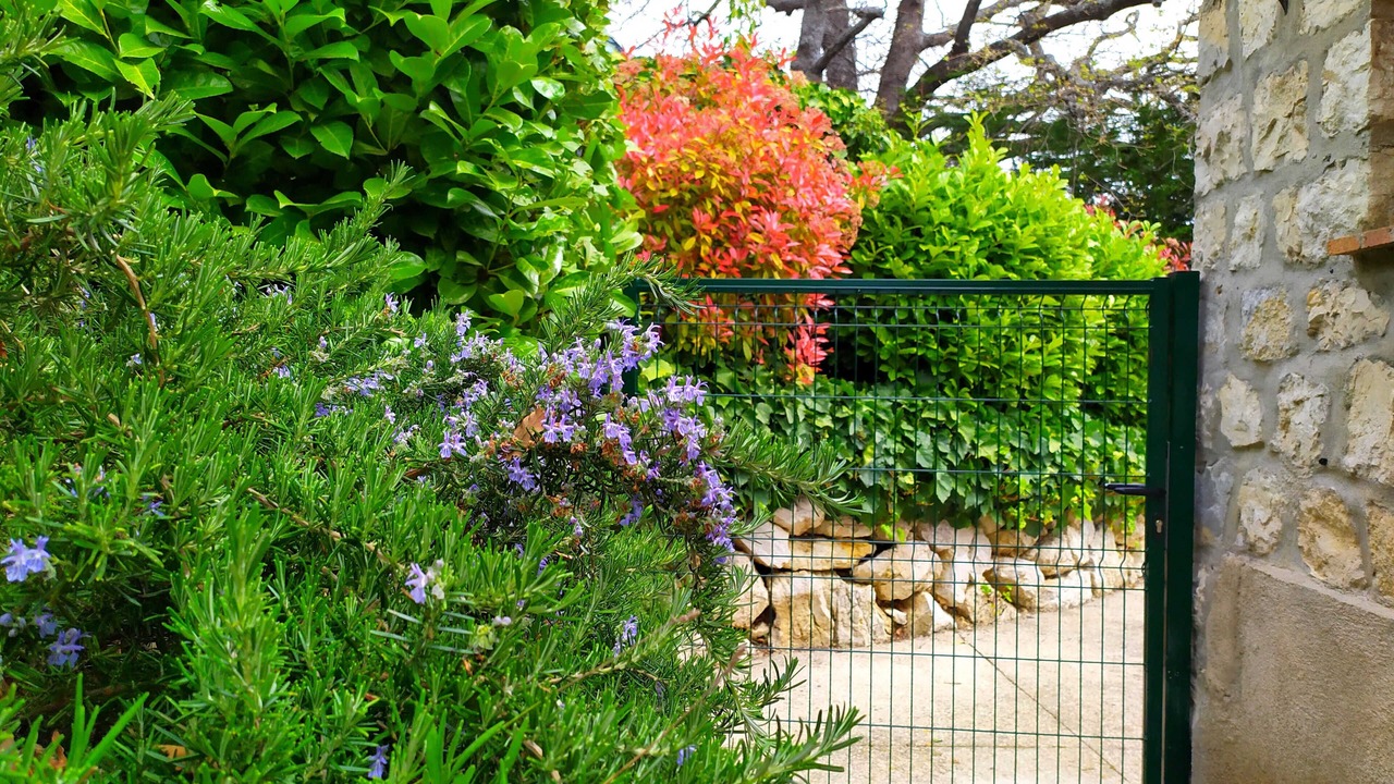 Photo of Outdoor in Coursegoules