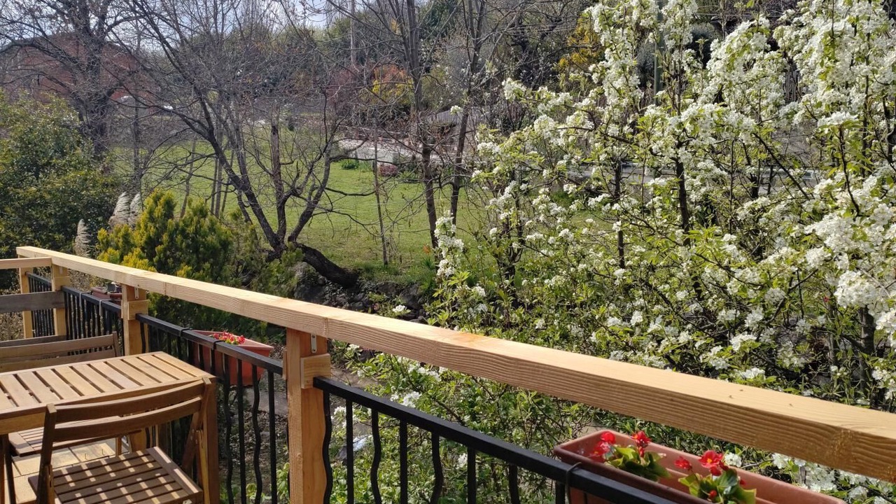 Photo of Outdoor in Belvedere