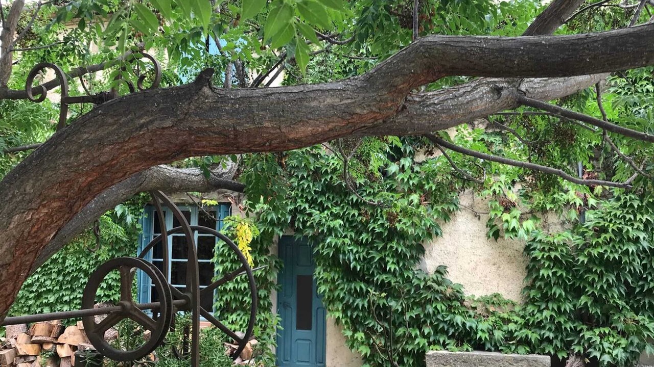 Photo of Outdoor in Laure-Minervois