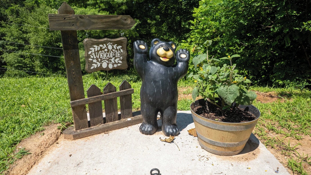 Photo of Outdoor in Cherokee
