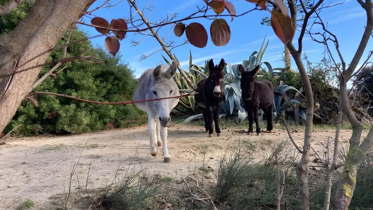 Photo of Others in Le Pouget