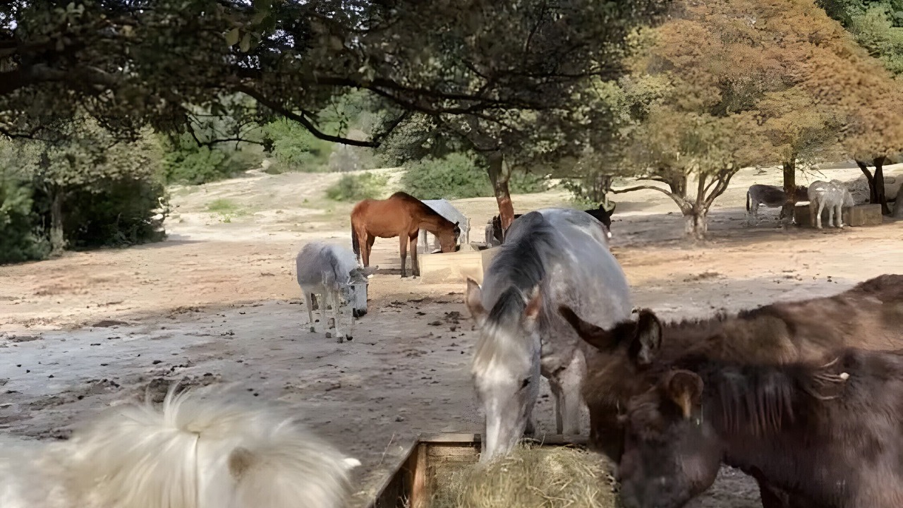 Photo of Others in Le Pouget
